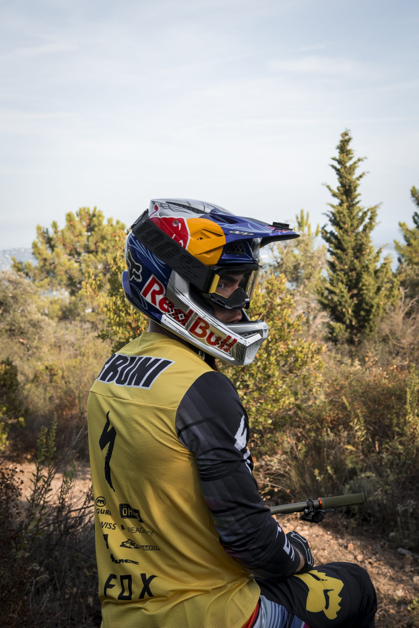 Red Bull Campo